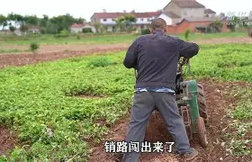 利记官网-杜巴顾莱怡森提战罗兰西朗尼闯草疆