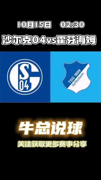 利记官方网站-沙尔克04连胜击败霍芬海姆，气势如虹