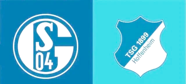 利记官方网站-沙尔克04连胜击败霍芬海姆，气势如虹